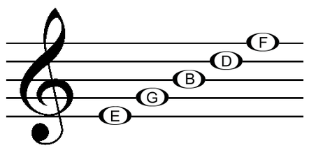 Lines and spaces of the treble clef - Musipedia